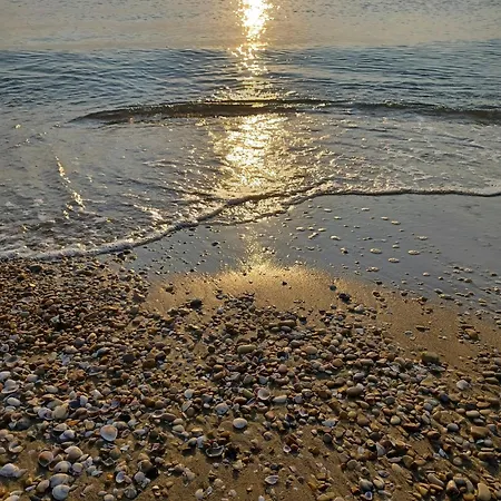 Felicia Daire San Benedetto del Tronto